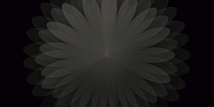 739x1600 Roman's Apple: iPhone X AMOLED coloured flower wallpapers black