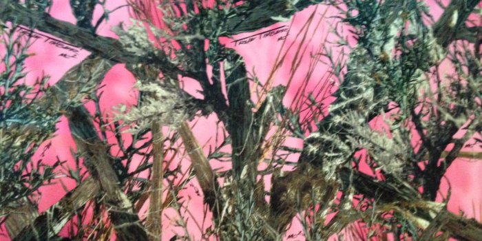 1632x1224 Download Pink Camo Mossy Oak Camouflage [1632x1224] | 45+ Pink Camo