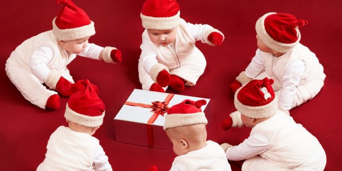 1600x1000 Desktop cute christmas puppy images wallpaper