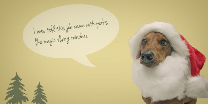1920x1080 Freebie – Holiday Desktop Wallpaper | Ammo the Dachshund