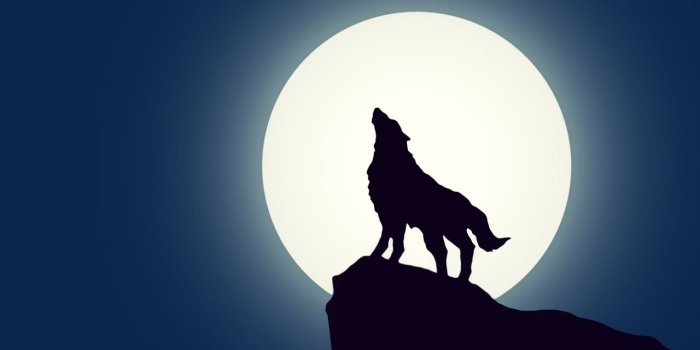 1280x720 Wolf cell phone wallpaper. Cool Anime/Legendary wolf wallpaper SlideShow