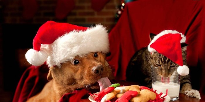 1222x687 Christmas | Free HD Top Most Downloaded Wallpapers - Page 23