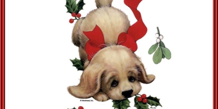 1024x768 Christmas Puppy Christmas Cards Wallpapers Image Desktop Background