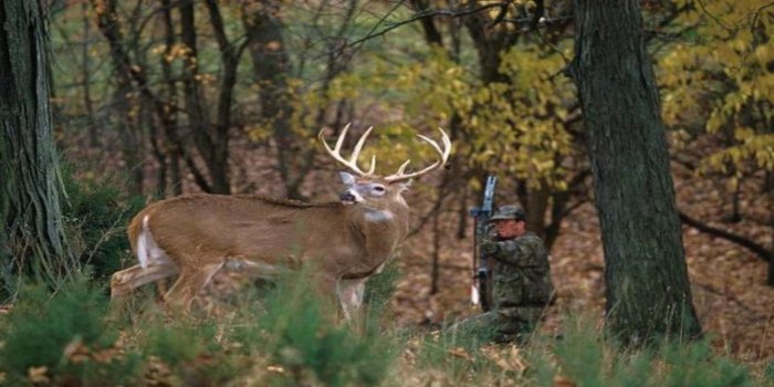 1920x1080 Bow Hunting Background Wallpaper (57+ images)