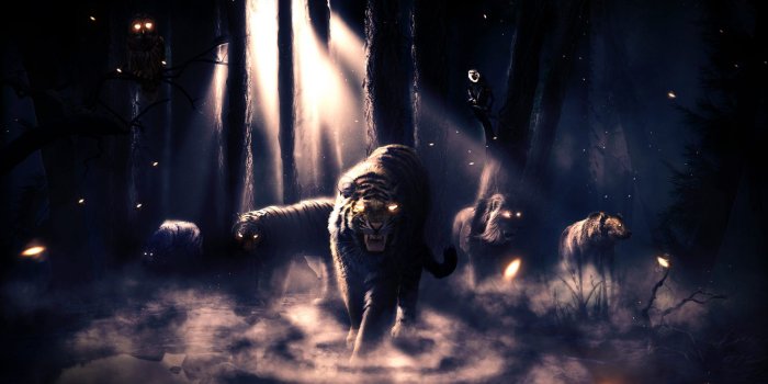 1920x1200 Revenge wallpaper Gallery