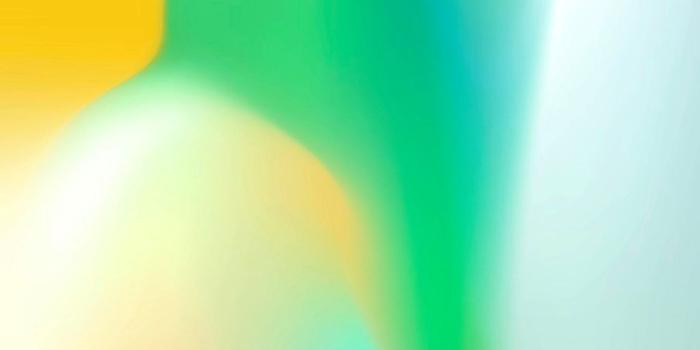 904x1976 iPhone X features 7 new Dynamic and 6 new Live wallpapers [Gallery