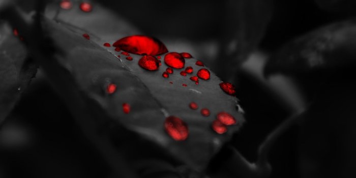 1920x1080 Black and Red Wallpapers HD (80+ background pictures)