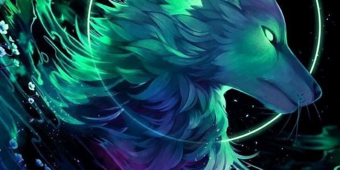 730x1095 Pretty | Cool Stuff in 2019 | Anime wolf, Fantasy art, Wolf wallpaper