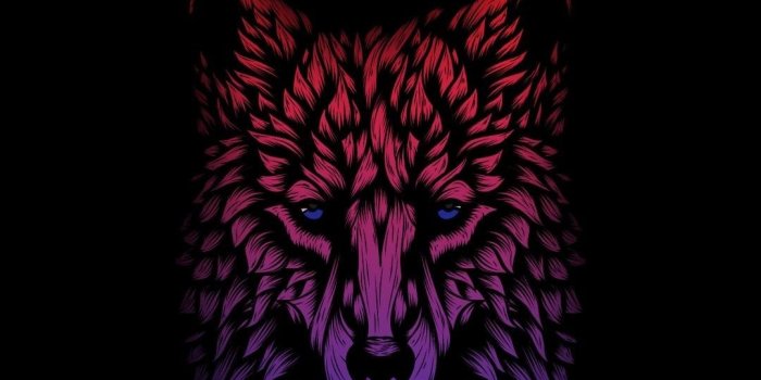 1080x1920 70+ Abstract Wolf Wallpapers on WallpaperPlay