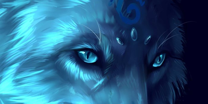 2400x3840 Wolf Wallpaper - Best Cool Wolf Wallpapers for Android - APK Download