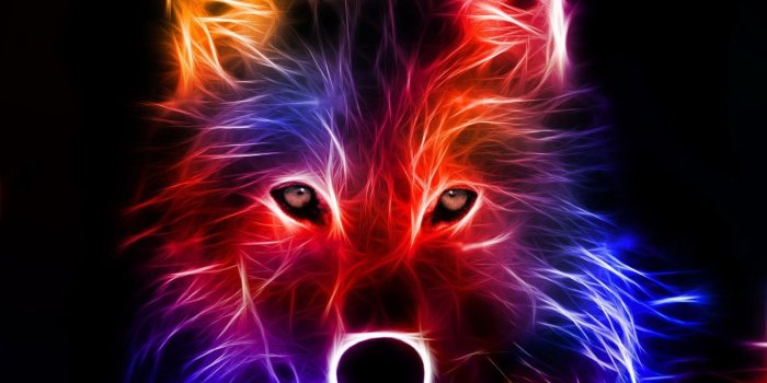 1600x1174 Cool wolf wallpapers Gallery