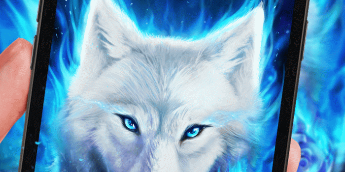 1080x1920 Cool arctic wolf live wallpaper for you! | Android live wallpapers