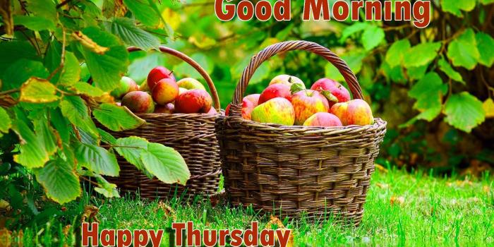 1920x1200 311+ Good Morning Thursday Images Wishes Greetings HD Download