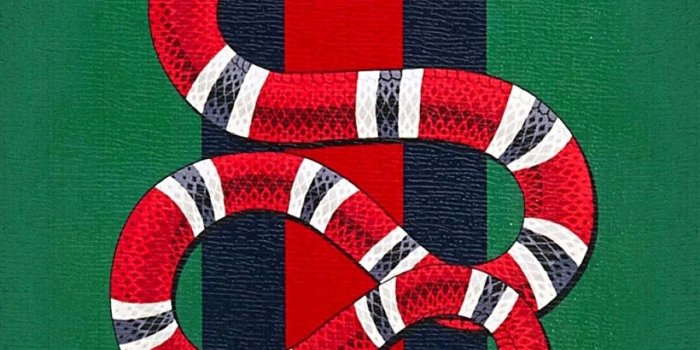 1200x2133 Gucci iPhone Wallpaper Elegant Lovely iPhone Wallpaper Gucci