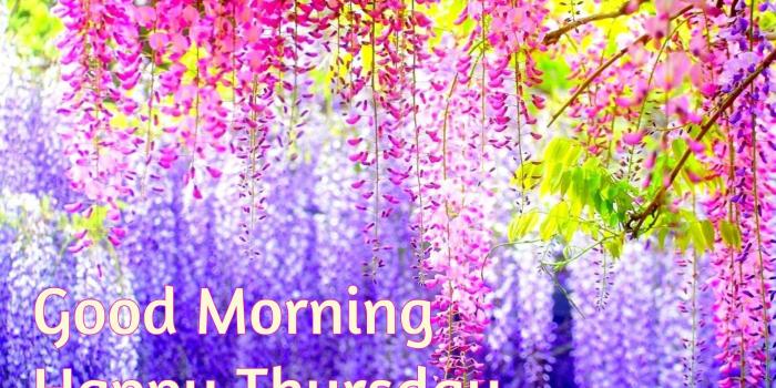 1920x1200 Good Morning wishes on Thursday - Quotes, Images and Pictures