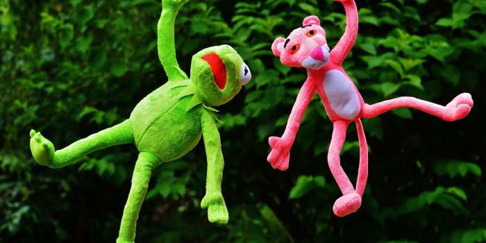 6016x4000 Shallow Focus Photography of Pink Panther and Kermit the Frog Plush