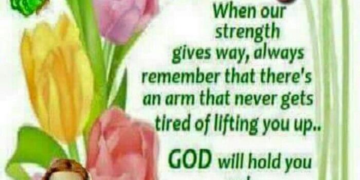 720x1280 486c1023 hd wallpaper