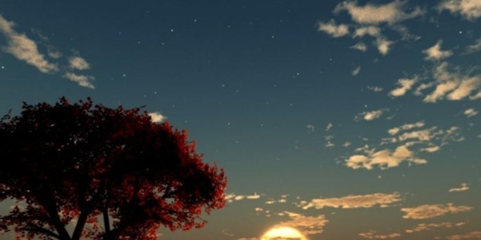 828x1080 35+ Vertical Dual Monitor Wallpapers - Download at WallpaperBro