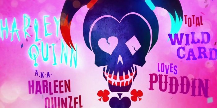 1920x1080 Harley Quinn Skull Wallpaper 05538 - Baltana