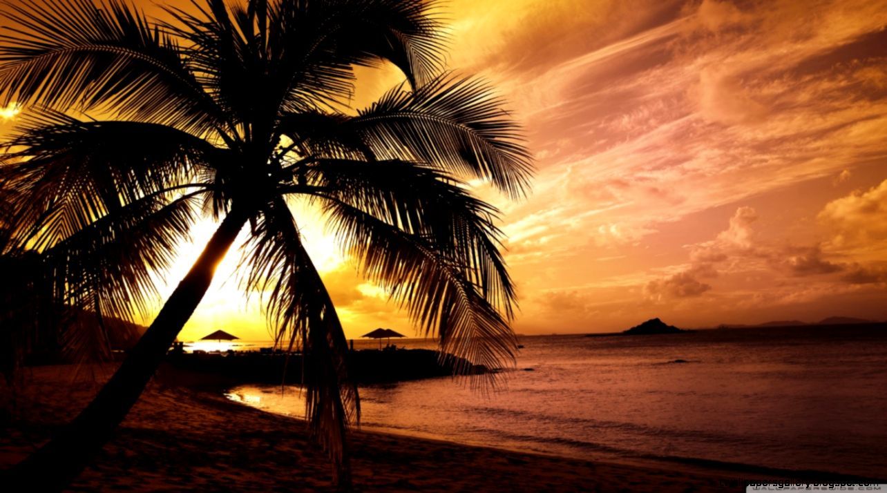 1284x714 Tropical Beach Sunset Wallpaper | Wallpapers Gallery
