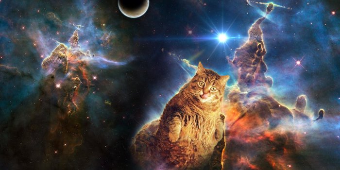 2880x1800 Space cat wallpaper dump ???? ???? - Album on Imgur