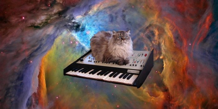1680x1050 cat in space Wallpaper and Background Image | 1680x1050 | ID:475224