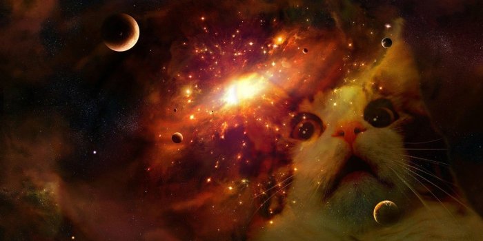 1920x1080 45+ Space Kitty Wallpapers - Download at WallpaperBro