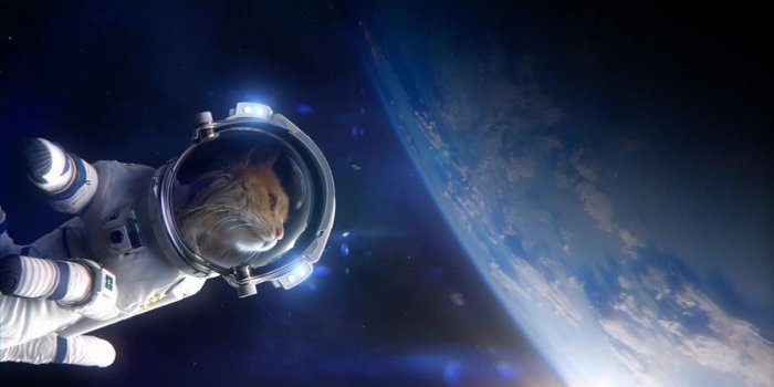 1200x675 Space cat wallpaper dump ???? ???? - Album on Imgur