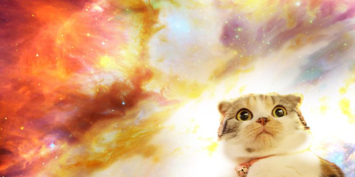 1920x1080 Cat In Space Background (#1172138) - HD Wallpaper Download