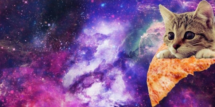 1137x702 Galaxy Cat Wallpapers