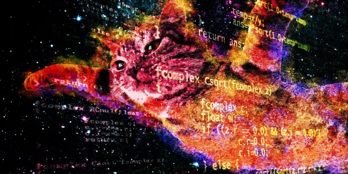 2320x1724 Free download Tumblr Cats In Space Wallpaper Space cat with flying