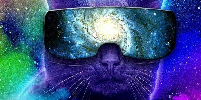 960x960 Space Cat Wallpaper (60+) - HD Nice Wallpapers