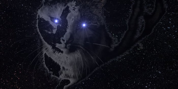 2816x2112 space cat HD Wallpaper | Background Image | 2816x2112 | ID:474379