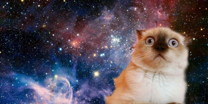 1920x1080 Download Space Cat Hd Wallpaper | Download Kumpulan Wallpaper Doodle