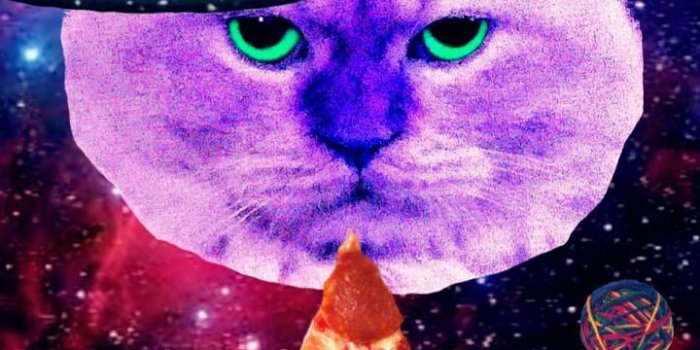 720x1280 PIZZA CAT IN SPACE Wallpaper by Kinjay92 - 88 - Free on ZEDGE™
