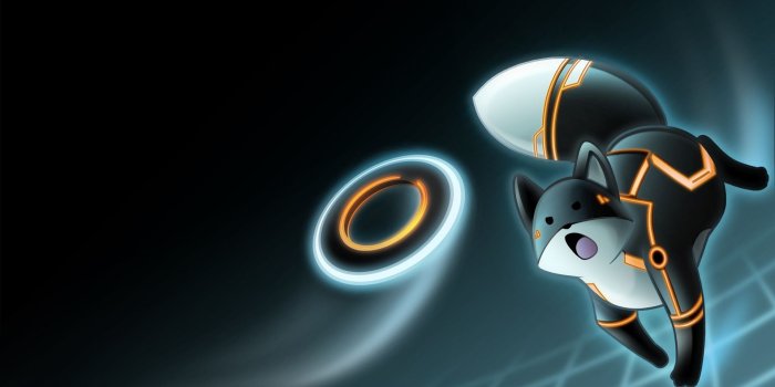1920x1080 Cats In Space Fantasy cat wallpapers and background images - Free HD