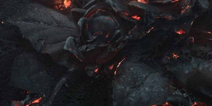 1080x1920 Download 1080x1920 Rose Ashes, Fire, Black, Dark Theme Wallpapers