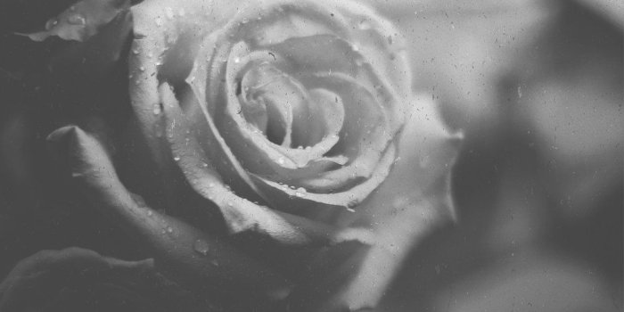 1000x1778 Black And White Wallpaper Iphone 6s | secondtofirst.com