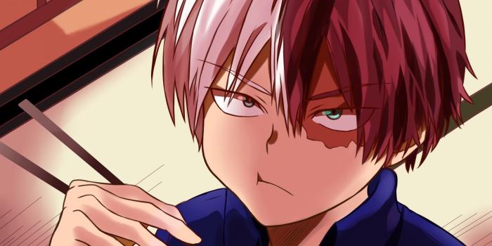 2510x1671 My Hero Academia Todoroki Wallpapers - Top Free My Hero Academia