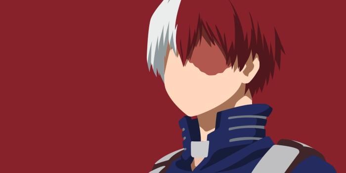 2560x1600 2560x1600 Shoto Todoroki from My Hero Academia 2560x1600 Resolution