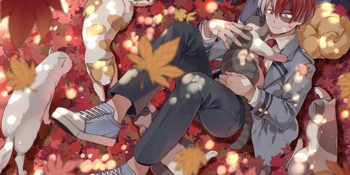 1332x850 Wallpaper cats, anime, art, guy, Boku No Hero Academy, Todoroki