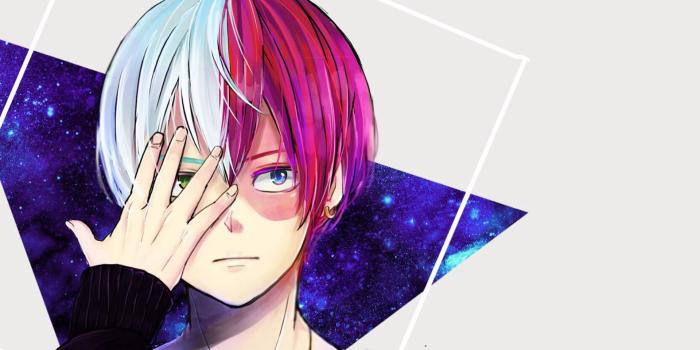 1920x1200 Download wallpapers Shoto Todoroki, portrait, My Hero Academia