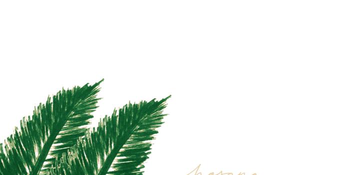 2580x1800 Palm Tree Lovin' Wallpaper-Celebrating the Beginning of Easter