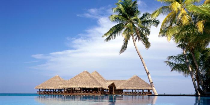 1920x1080 Download Palm Tree Desktop Wallpaper wallpaper Palm Tree Desktop