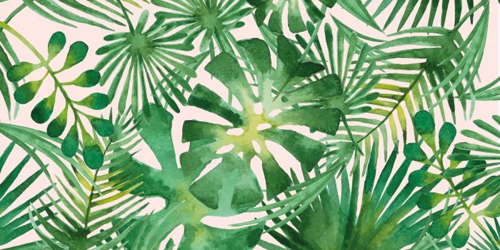 1856x1161 Palm Desktop Wallpapers - Top Free Palm Desktop Backgrounds