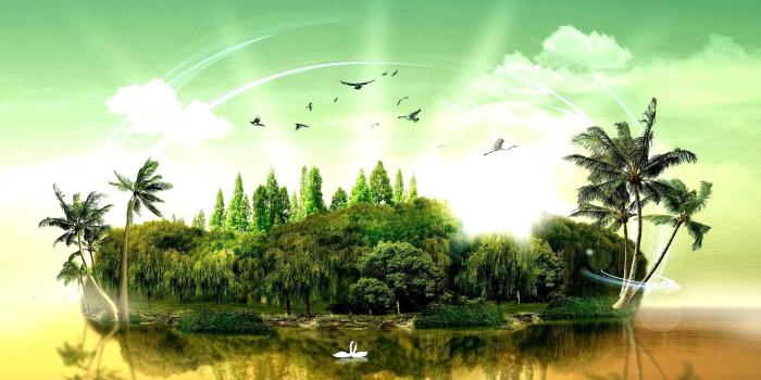 1920x1080 Palm Tree Backgrounds - Pexels Wallpaper