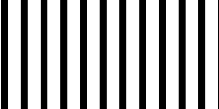 1560x1650 49+] Black and White Stripe Wallpaper on WallpaperSafari