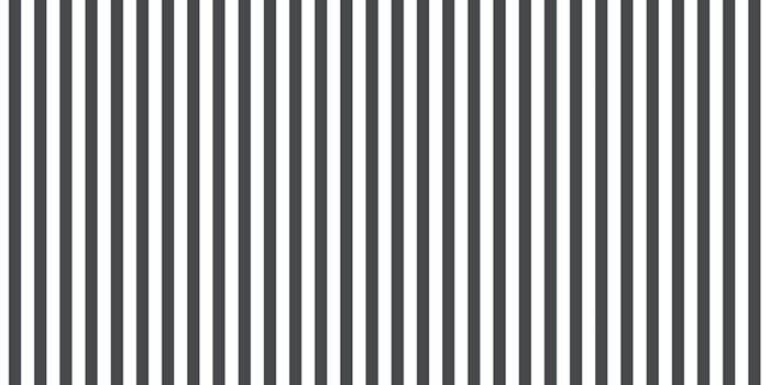 2048x2048 Black & White Pin Stripe Wallpaper