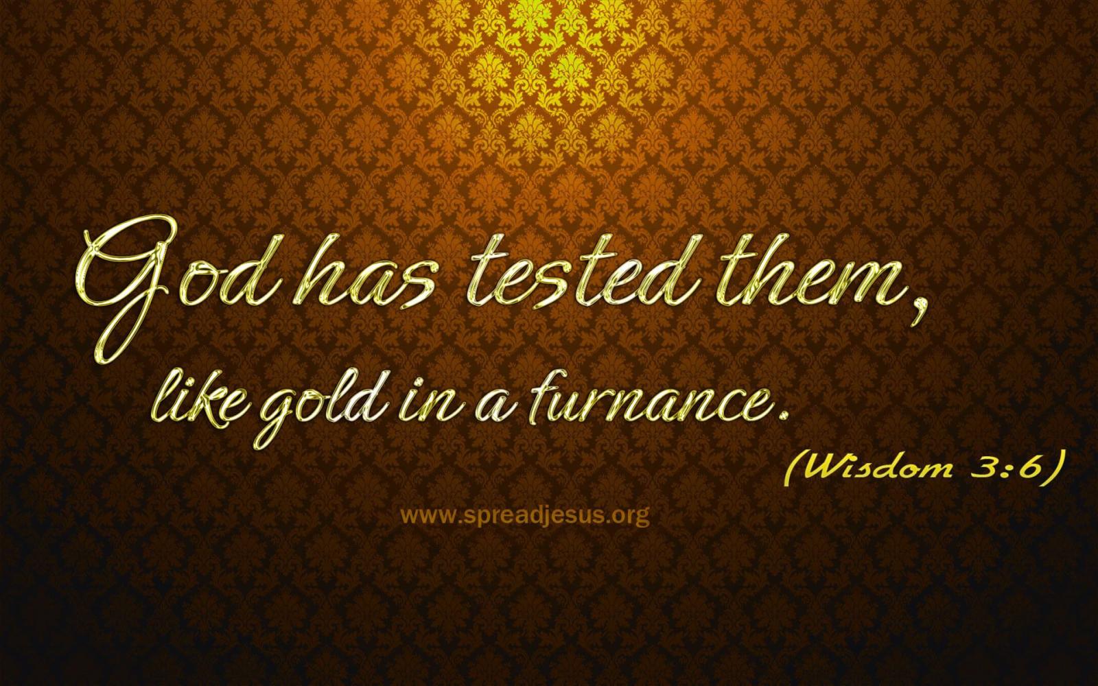 1920x1200 Wisdom Wallpapers (70+ images)