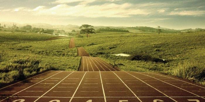 1280x800 35+ HD Track and Field Wallpapers - Download at WallpaperBro